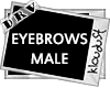 male eyebrows