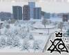 [XO] Central Park Winter