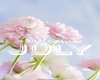 hgchyt