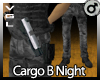 VGL Cargo B Night