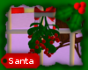 [Santa] Mistletoe