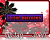 j| I Love Balloons-