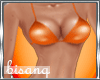 .:B:. Biquini Orange LB
