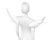 White Wings Angel