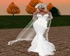 NALLA WEDDING PICTURE