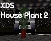 XDS Houseplant 2