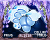 ⟡ Snöw Paws