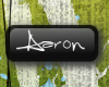 [G] -Req- Aaron Button