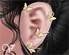 ! Ezra Gold Earrings