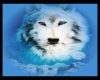 Blue White Wolf Art