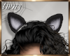 Kit Cat Ears