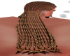 M@Z KING BRAID CHOCOGOLD