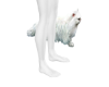 C| Long Hair Cat M (PET)