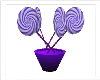 Purple Lolly pop Tree