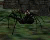 Spider  [Animated]