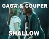 GAGA & COUPER - SHALLOW
