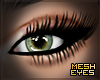 SeaWeed | Mesh Contacts