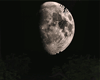 A| Full moon ROOM