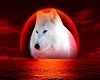 wolf wall light 2