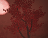 Dn. Red Moon