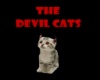 devil cats t-shirt male