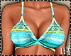 Summer Beach Bikini RL