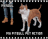 My Pitbull Pet Action