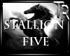 TR* Stallion Five
