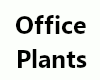 00 Office Plants