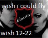 wish i could fly p2