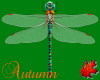 Animated Dragonfly