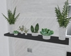 floating plant shelf