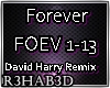 Forever Remix