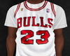 23 Chicago Bulls Jersey