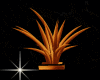 CA:Plant palm Gold&Black