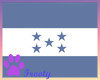 Hondura Flag