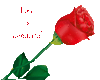 Rose Love is
