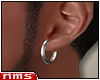 NMS- Silver Earring L