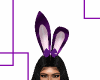 Bunny Ears Purple