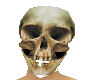 [SaT]Skull head