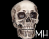 [MH] Skull Face