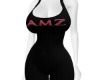 AMZ Support