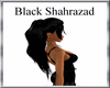 (TSH)Black Shahrazad