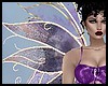 Purple Fairies Wings