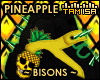 ! PINEAPPLE Bisons