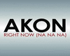 Akon -Right Now (NaNaNa)