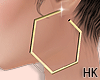 HK♠Gold Earring