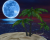 moonlight beach
