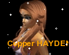 !B~HAYDEN~Copper