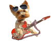 [LJ]Dog Playin Guitar